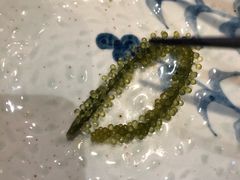 -大雄寿司(中华广场店)