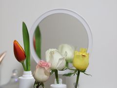 -上海沪太花鸟奇石市场·停车场