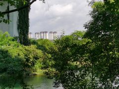 -贵阳市花溪国家城市湿地公园