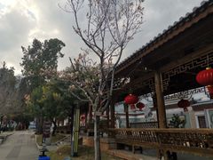 -大理文庙(大理古城)