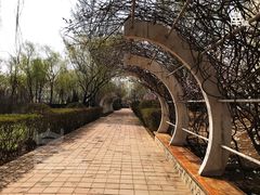-济南植物园