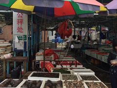 -外伶仃岛海鲜市场