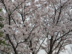 -苏州太湖国家湿地公园