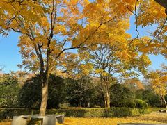 -浙江农林大学(东湖校区)