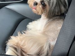 -爱侣宠医·鹦鹉专科·小型哺乳类·异宠专科(灵石路店)