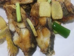 -绿雅居原生态农庄(小涌店)