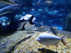 -成都浩海立方海洋公园