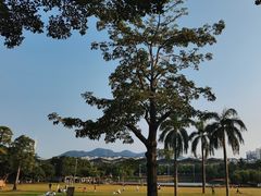 -紫马岭公园