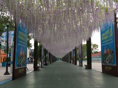 -厦门方特梦幻王国