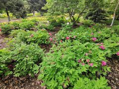 -哈尔滨文化公园