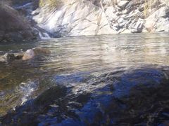 -少华山国家森林公园