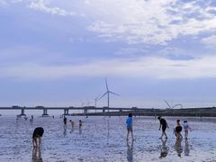 -南汇嘴观海公园