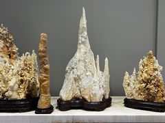-游龙石文化科普馆