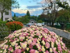 -萍乡武功山风景名胜区