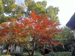 -惠山古镇·寄畅园