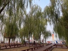 -西青郊野公园