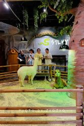 -Zoolung Zoolung动物主题公园(海信广场店)