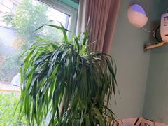 -伊斯麦尔丝路·新派菜(沙子口店)