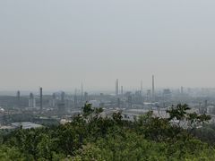-白水寺森林公园