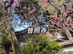 -普照寺