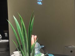 -次第花开素食雅宴