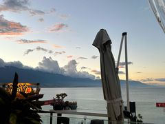 -野菌皇海景野生菌火锅(滨海大道店)