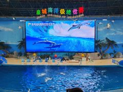-泉城欧乐堡海洋极地世界
