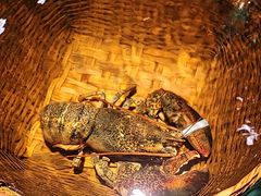 -拉完海鲜大排档(温岭店)