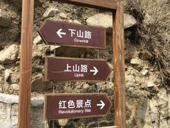 -大岭沟猕猴桃谷风景区