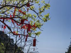 -泰山风景名胜区