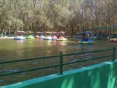 -长白岛森林公园