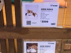 -龟与熊猫宠物公园(南坪店)