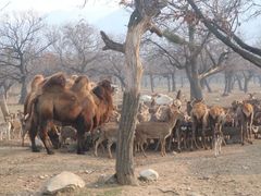 -西安秦岭野生动物园
