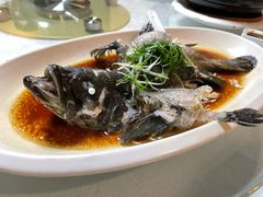 清蒸多宝鱼-强记海鲜·大排档(蛇口新街店)