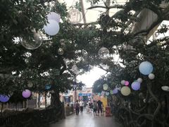 -杭州浪浪浪水公园