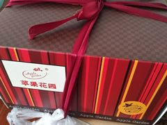 -苹果花园(金耀南路店)