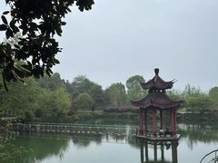-冶父山国家森林公园