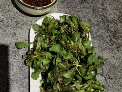 -华盛园卷子王农家菜水库鱼