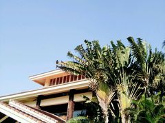 -三亚珠江南田温泉度假区