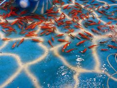 -弘阳·未来世界(弘阳广场店)