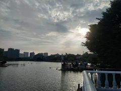 -五缘湾湿地公园