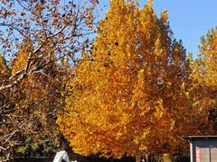 -春晖园度假酒店温泉