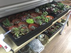 -A+匠心DIY手工坊·首饰·微景观