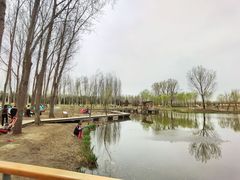 -东郊湿地公园