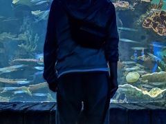 -多彩贵州城极地海洋世界