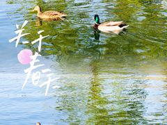 -陶然亭公园