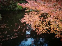 -醍醐寺