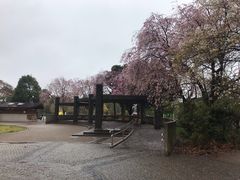 -三鹰之森吉卜力美术馆