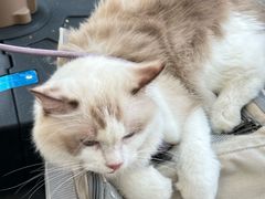 -深圳湾万象城(南山店)