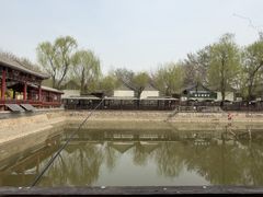 -尚庄度假村·庭台树下·户外烧烤·团建CS·轰趴营地(上庄水库店)